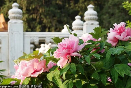 2b7ec8e1bfd42f34683763d5657b5728.png 2b7ec8e1bfd42f34683763d5657b5728.png