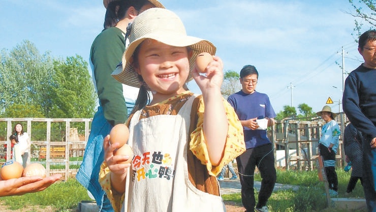 飞鸟与鸣虫农场的小鸡主题活动吸引不少家庭参与。